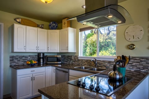 Stainless steel and granite counter-tops in the kitchen.