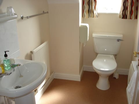 Combined shower/tub, free toiletries, hair dryer, towels