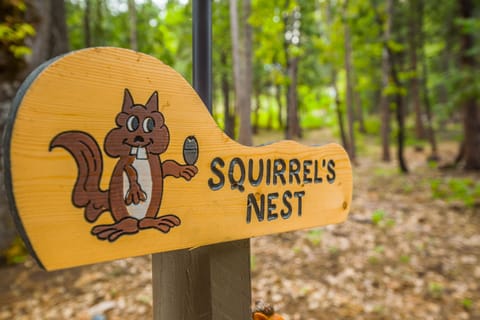 Welcome to Squirrel's Nest