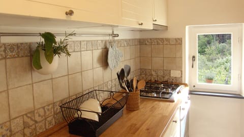 Family Apartment, 3 Bedrooms, Garden Area | Private kitchen | Full-size fridge, oven, stovetop, dishwasher