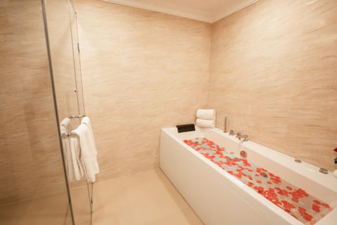 Presidential Room | Bathroom | Free toiletries, hair dryer, towels