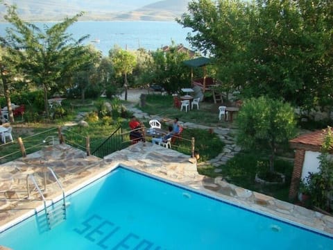 Seasonal outdoor pool, pool umbrellas, sun loungers