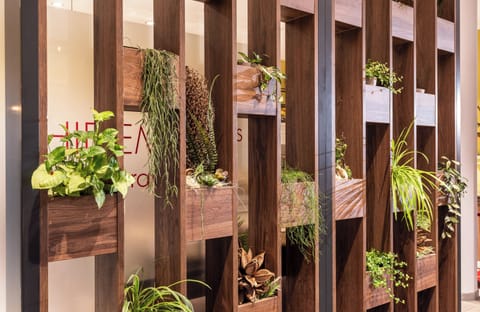 Dinner served, German cuisine, alfresco dining