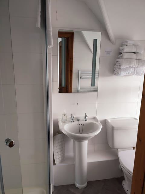 Standard Twin Room | Bathroom | Shower, designer toiletries, hair dryer, bathrobes