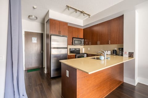 Deluxe Apartment | Private kitchen | Full-size fridge, microwave, oven, stovetop
