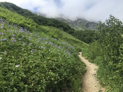 Hiking