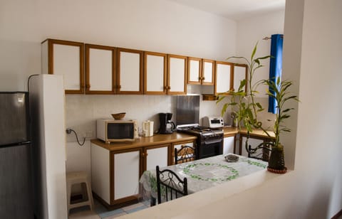 Economy Apartment, 1 Bedroom, Ensuite, Courtyard View | Private kitchen | Full-size fridge, microwave, oven, stovetop