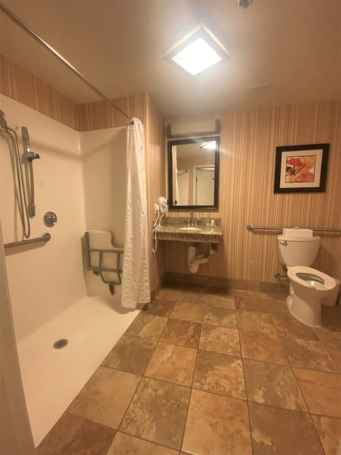 Efficiency, Suite, 1 King Bed with Sofa bed, Accessible, Non Smoking | Bathroom | Combined shower/tub, free toiletries, hair dryer, towels