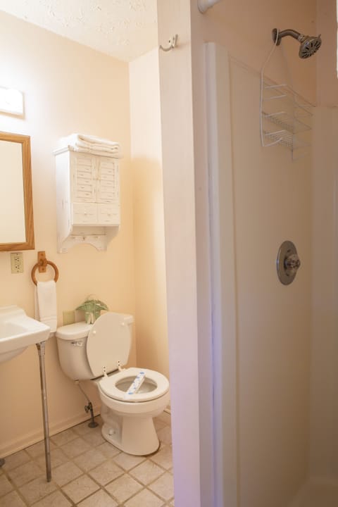 Lady Bug Romantic Studio Suite, 1 Bedroom, Mountain View | Bathroom | Free toiletries, hair dryer, towels, soap