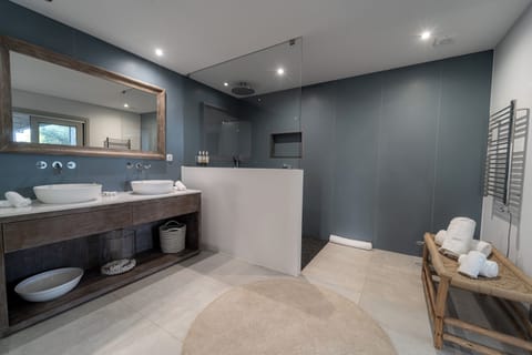 Luxury Suite | Bathroom | Shower, free toiletries, hair dryer, bathrobes