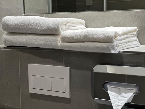 Comfort Double Room | Bathroom | Shower, free toiletries, hair dryer, towels