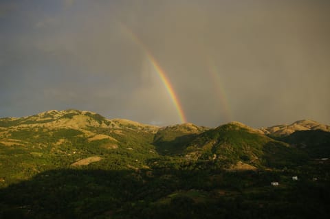 Classic Quadruple Room, Mountain View | View from room