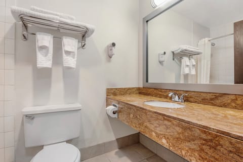 Combined shower/tub, free toiletries, hair dryer, towels