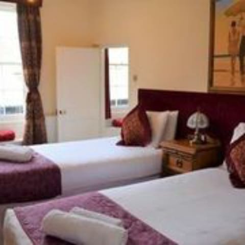 Double or Twin Room, 1 King Bed | Desk, iron/ironing board, free WiFi, bed sheets