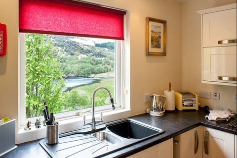 Chalet | Private kitchen | Fridge, microwave, oven, stovetop