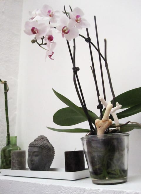 Daily continental breakfast (EUR 9.50 per person)