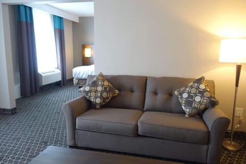 Suite, 1 Bedroom, Non Smoking | Down comforters, in-room safe, desk, blackout drapes