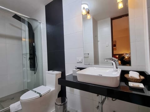 Suite | Bathroom | Shower, designer toiletries, hair dryer, towels