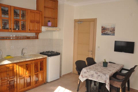 Family Apartment | Private kitchen | Fridge, electric kettle, griddle, cleaning supplies