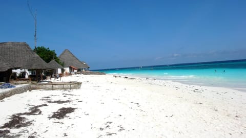 On the beach, white sand, sun loungers, beach umbrellas