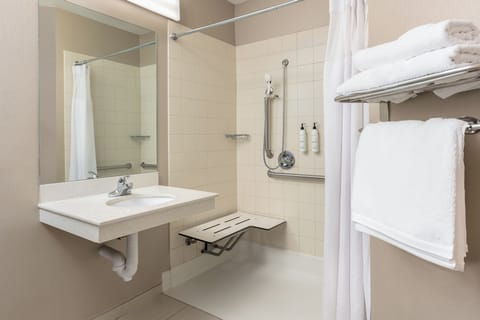 Combined shower/tub, free toiletries, hair dryer, towels