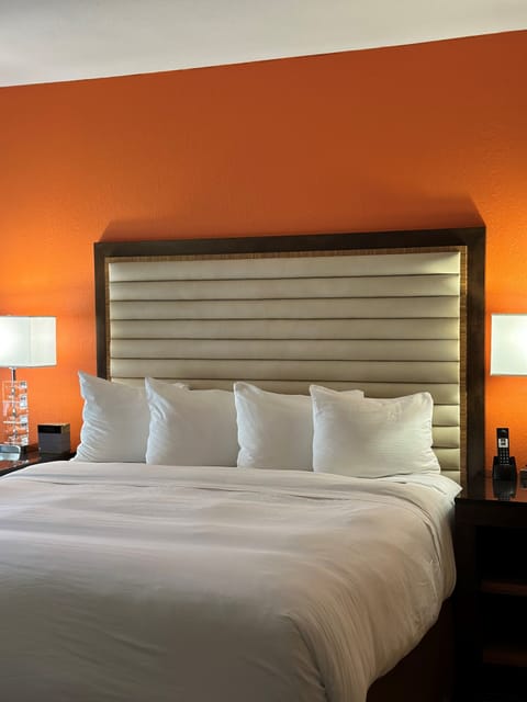 Suite, 1 King Bed, City View | Egyptian cotton sheets, premium bedding, pillowtop beds, in-room safe