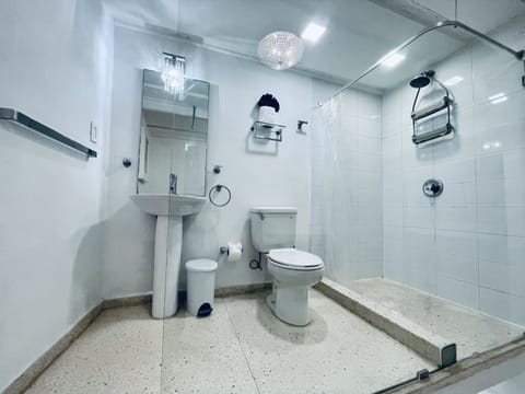 Standard Room | Bathroom | Shower, rainfall showerhead, hair dryer, towels