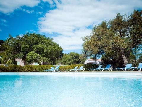 Outdoor pool, open 8:00 AM to 8:00 PM, sun loungers