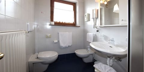 Shower, free toiletries, hair dryer, bidet