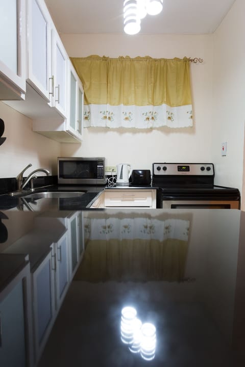 Luxury Apartment, 2 Bedrooms, Mountain View | Private kitchen | Full-size fridge, microwave, oven, stovetop