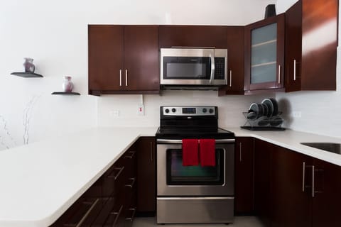 Luxury Apartment, 1 Bedroom, Mountain View | Private kitchen | Full-size fridge, microwave, oven, stovetop