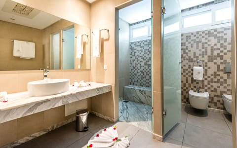 Deluxe Double Room | Bathroom | Free toiletries, hair dryer, slippers, bidet