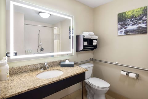 Accessible bathroom