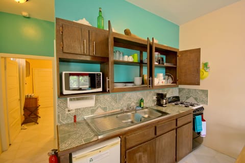 Deluxe Apartment, 1 King Bed, Non Smoking, Kitchen | Private kitchen | Fridge, microwave, oven, stovetop