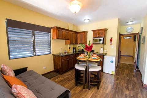 Fully Equipped Kitchen and Queen size futon