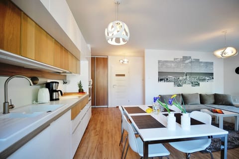 Apartment (H105) | Private kitchenette | Fridge, microwave, oven, stovetop