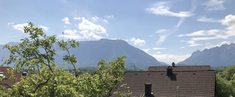 Apartment (Alpenpanorama) | View from room