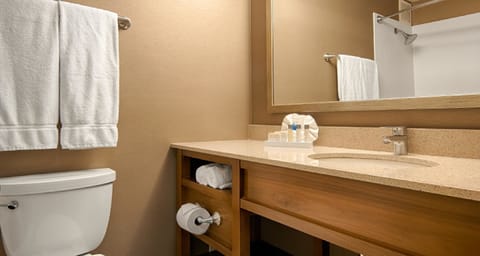 Shower, eco-friendly toiletries, hair dryer, towels