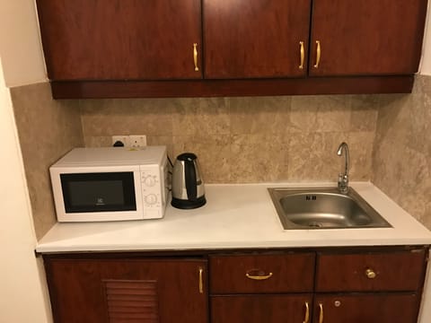 Full-size fridge, microwave, dishwasher, electric kettle