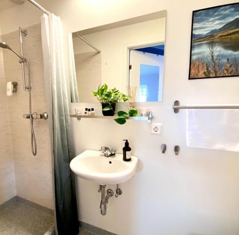 Double or Twin Room, Private Bathroom | Bathroom | Shower, free toiletries, hair dryer, towels