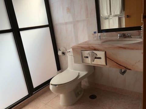 Shower, free toiletries, towels