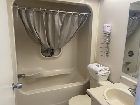 Combined shower/tub, jetted tub, hair dryer, towels