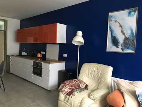 Exclusive Double Room Single Use, 1 Queen Bed, Kitchen, Garden View | Private kitchen | Full-size fridge, microwave, oven, stovetop