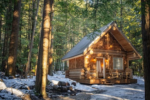 Deep Woods Rustic Glamping Cabin | Exterior