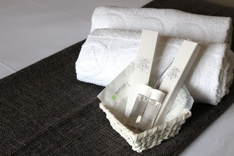 Standard Double Room, Balcony, Sea Facing | Room amenity