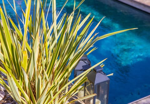 Seasonal outdoor pool, pool umbrellas, sun loungers