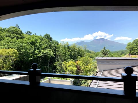 Deluxe Double Room, Non Smoking (Mt. Asama View) | View from room