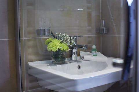 Single Room | Bathroom | Shower, free toiletries, hair dryer, towels