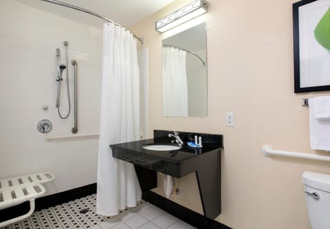 Room, 1 King Bed, Non Smoking (Mobility Accessible, Roll-In Shower) | Bathroom shower