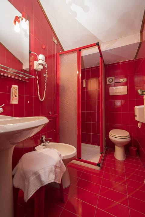 Shower, free toiletries, hair dryer, bidet